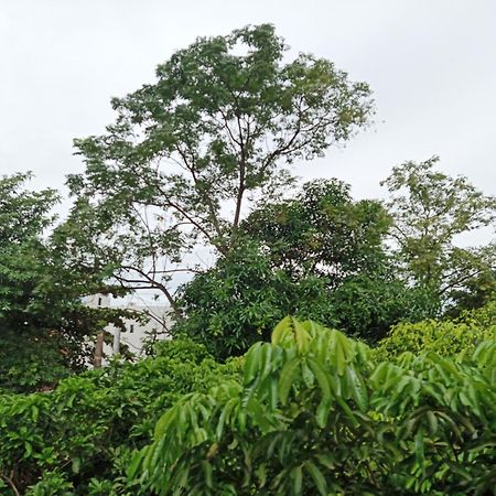 Green Space Homestay Ninh Binh Exterior photo