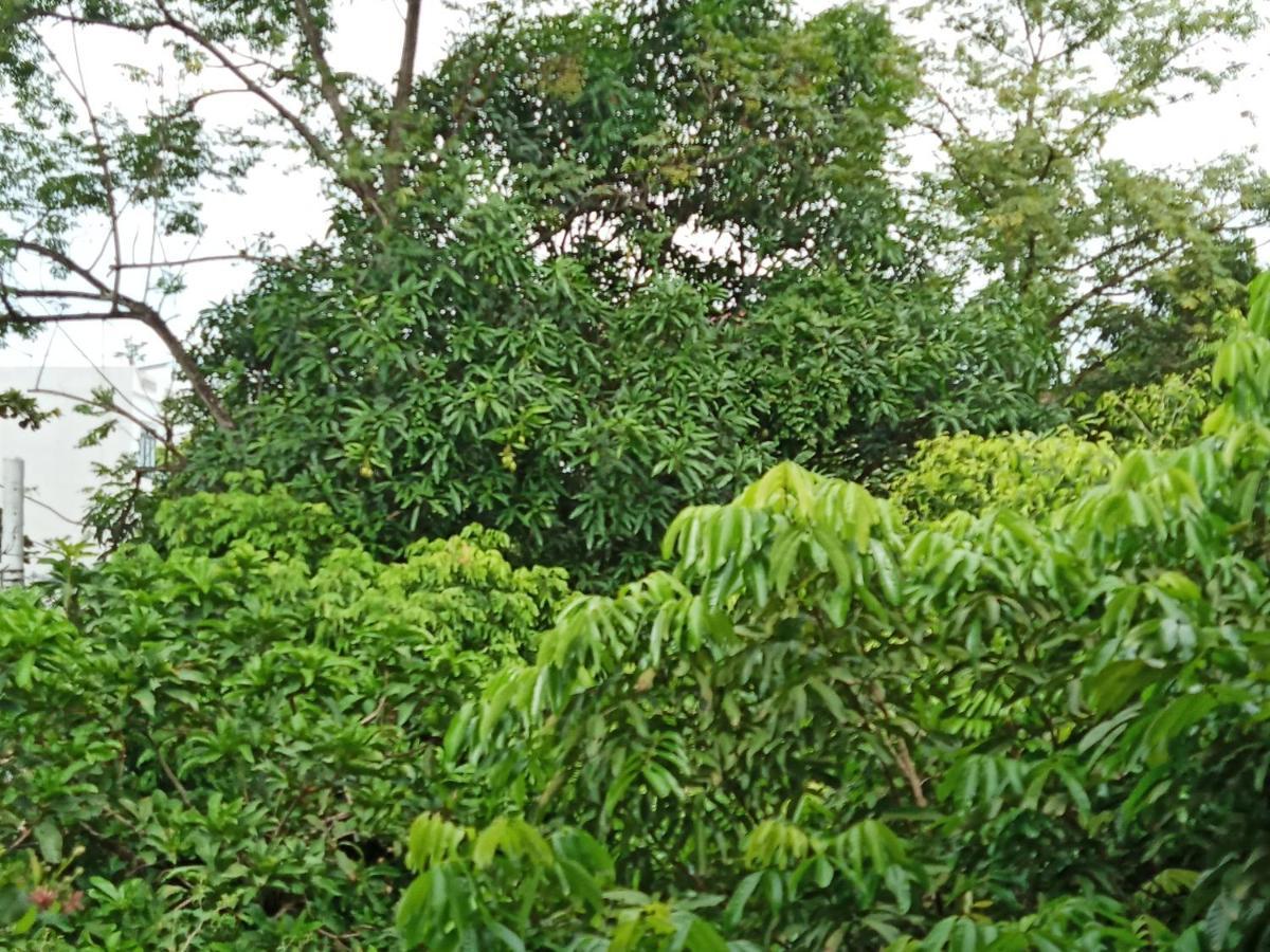 Green Space Homestay Ninh Binh Exterior photo