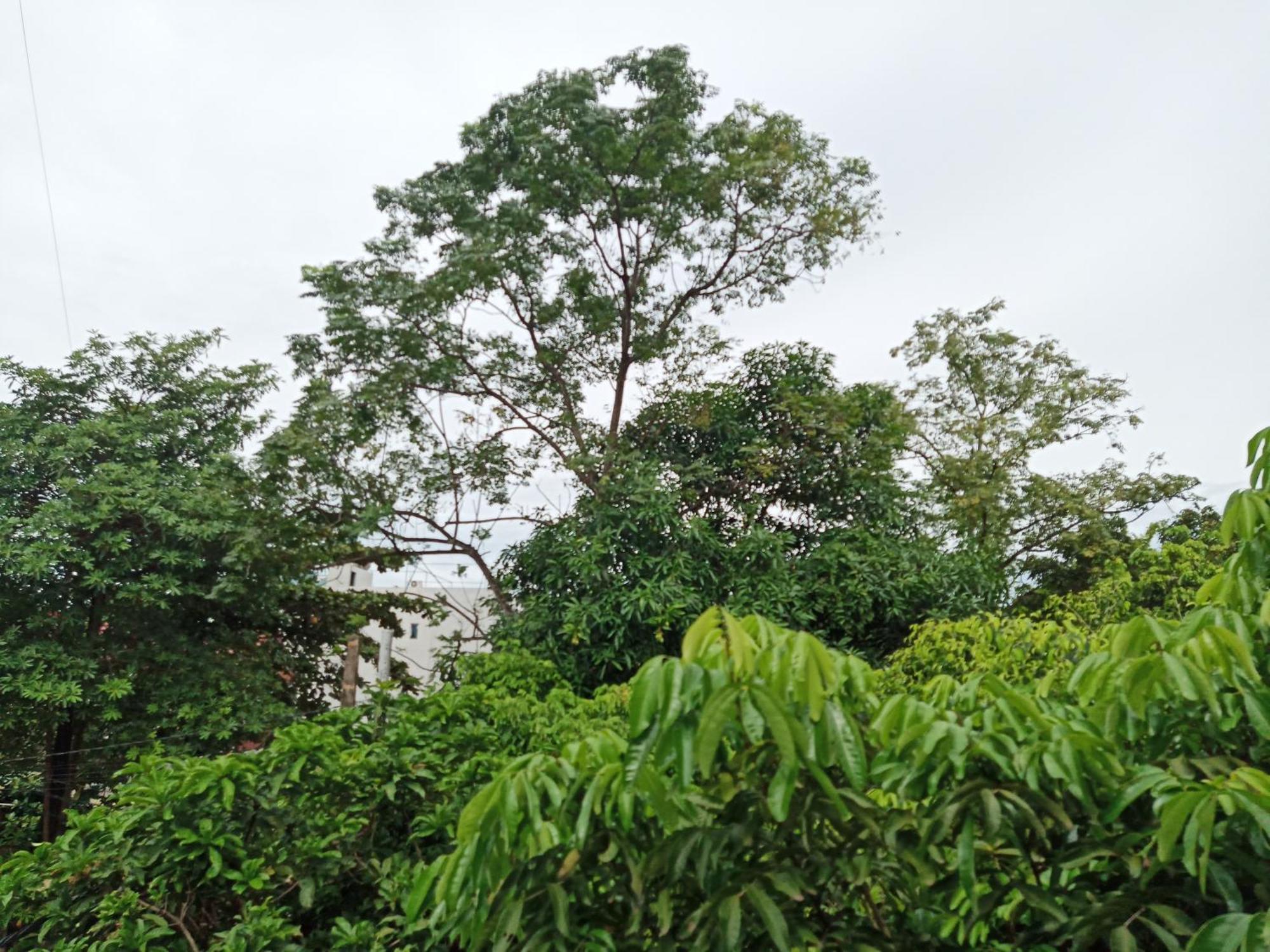 Green Space Homestay Ninh Binh Exterior photo