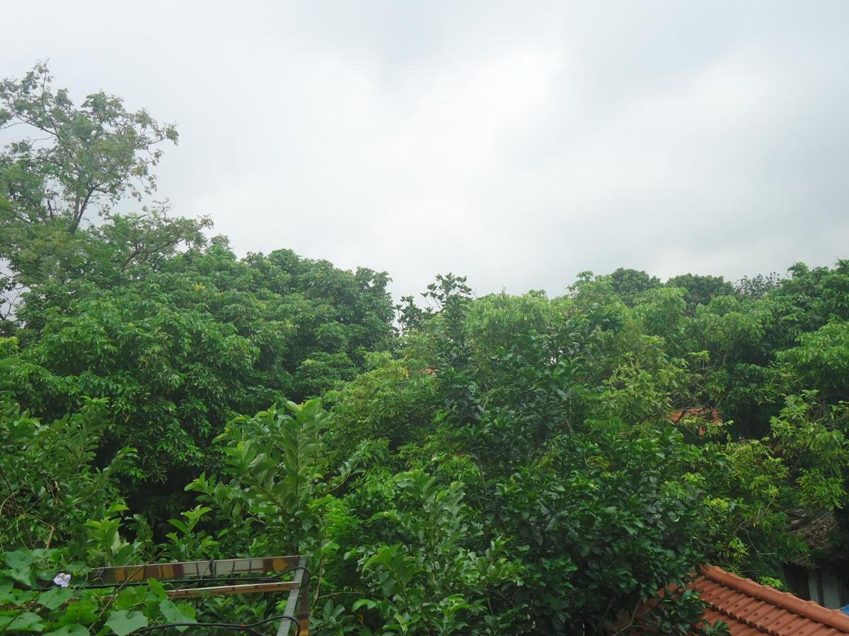 Green Space Homestay Ninh Binh Exterior photo