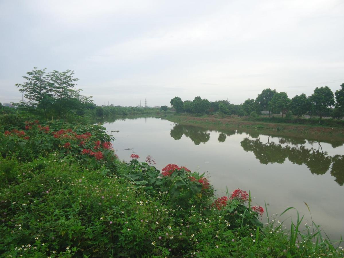 Green Space Homestay Ninh Binh Exterior photo