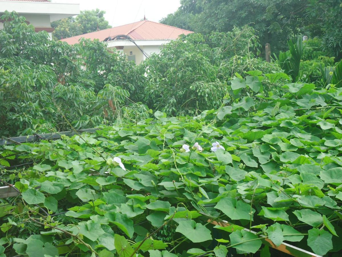 Green Space Homestay Ninh Binh Exterior photo