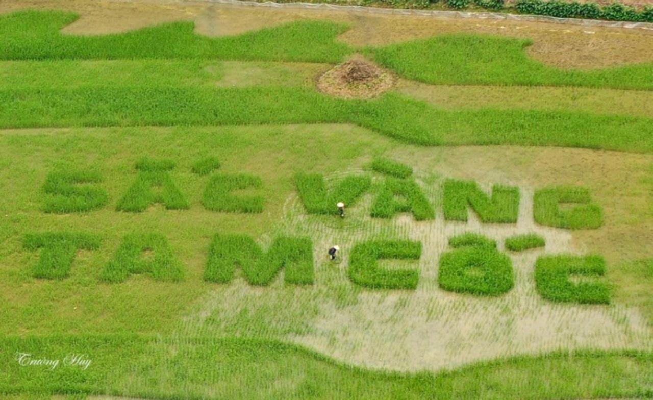 Green Space Homestay Ninh Binh Exterior photo